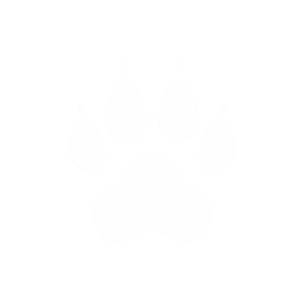 Animais