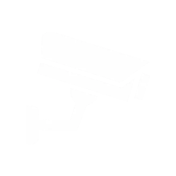 Videovigilância